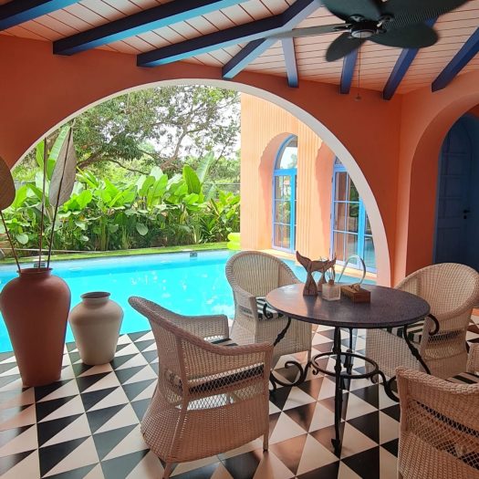 VILLA MANDREM-image (13)